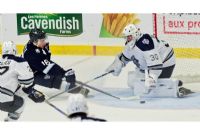 Hockey en Estrie : le Phoenix, les Cantonniers et la LRH en action